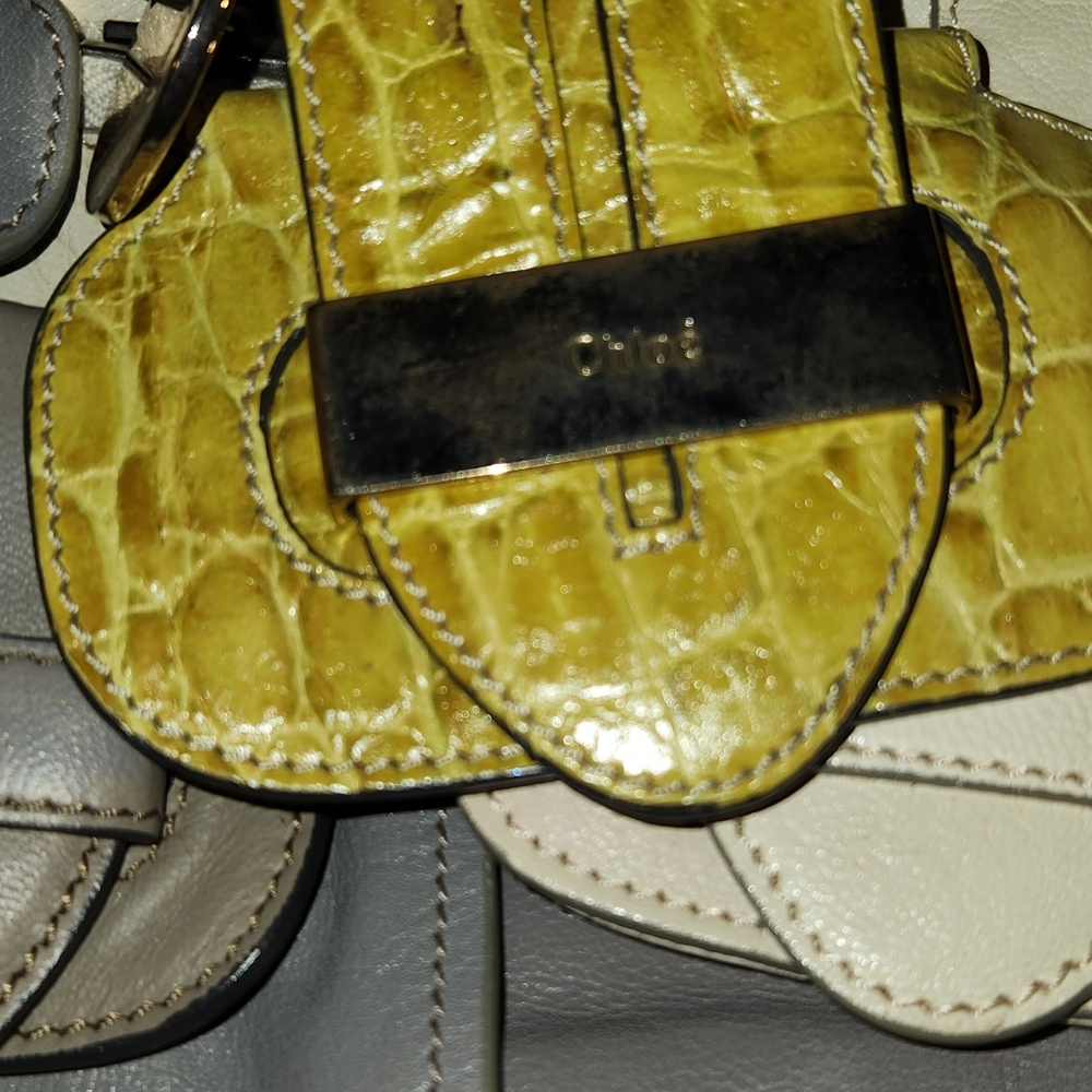 Chloe Wristlet Bag Gray Cream Snake Yellow. Leather Good Needs Some Cleaning. - Picture 15 of 16